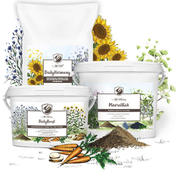 Alles  was Du über die Supplemente von equiBEneFIT® wissen musst